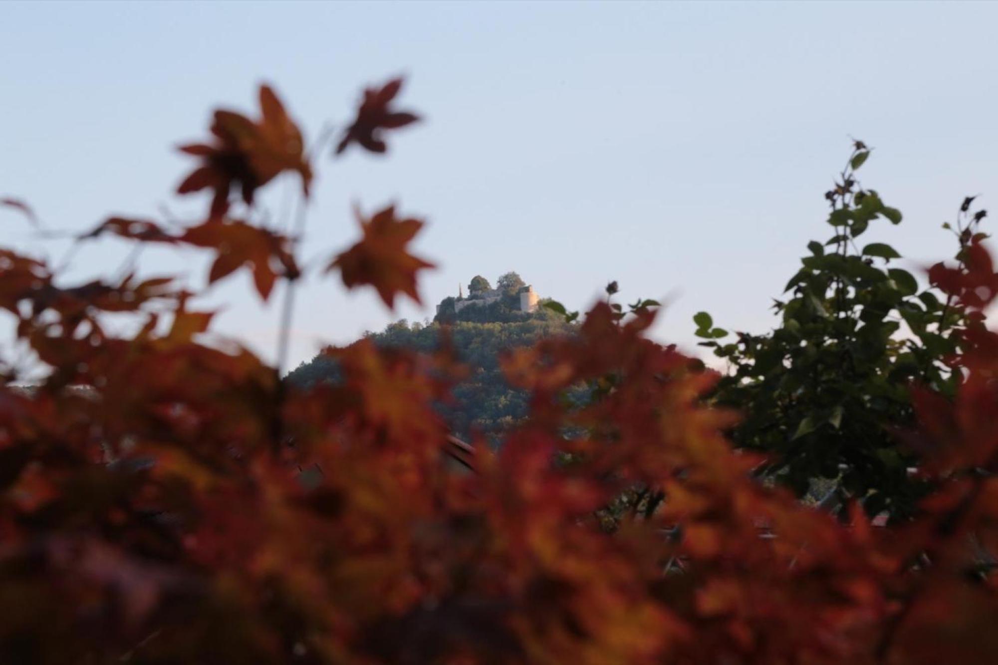 Haus Am Sonnenhuegel Lägenhet Bad Urach Exteriör bild