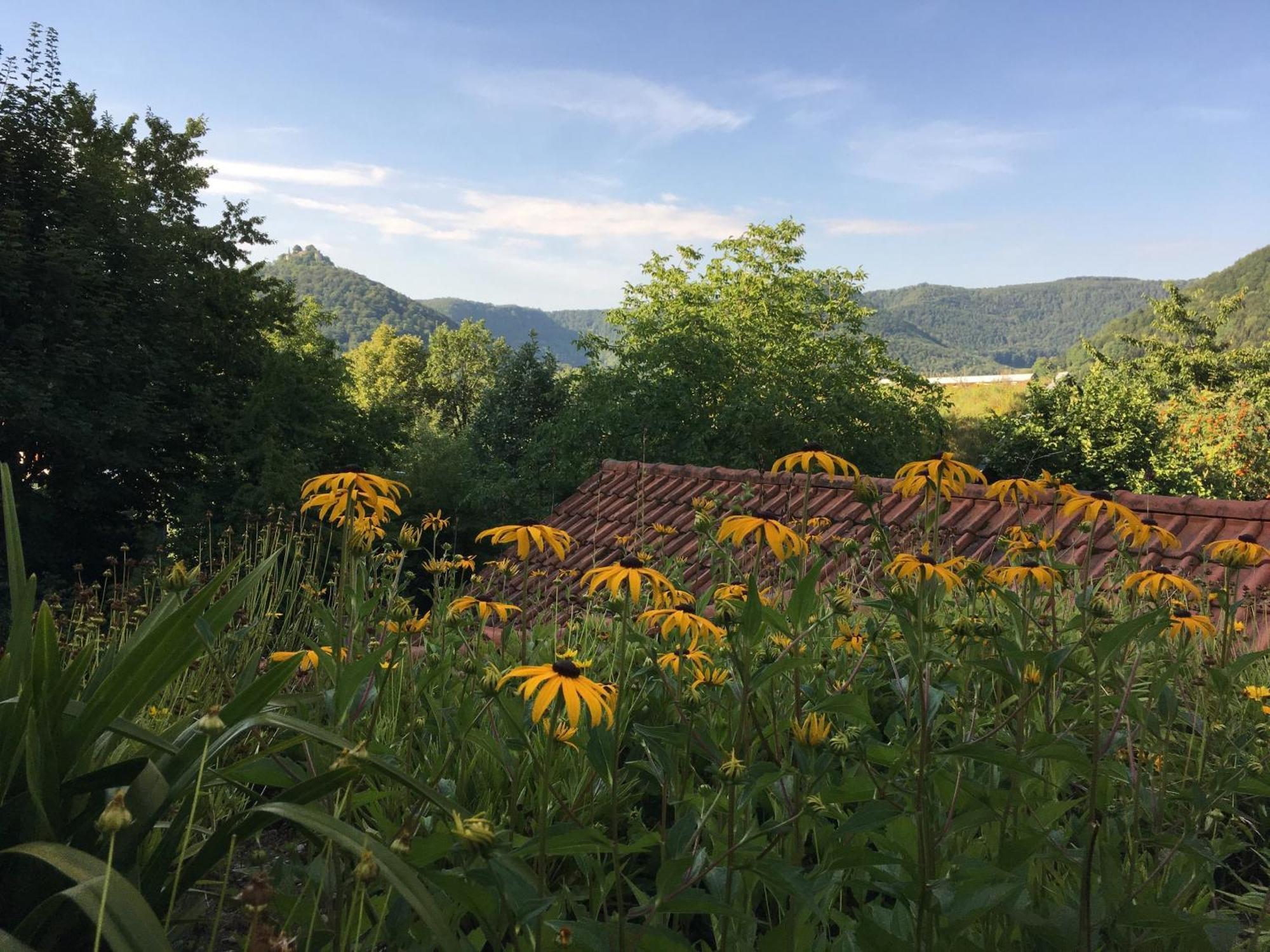 Haus Am Sonnenhuegel Lägenhet Bad Urach Exteriör bild
